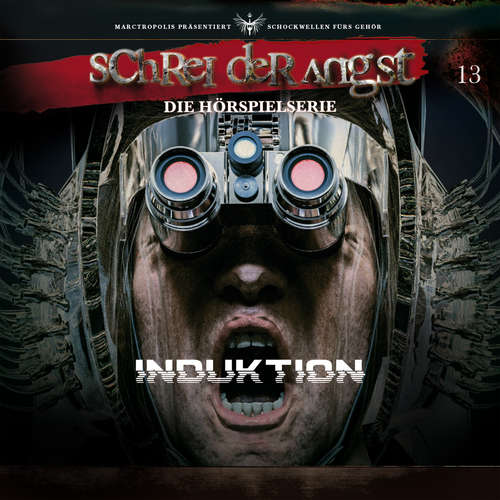 Hoerbuch Folge 13 - Induktion - Carsten Fehse - René Oltmanns