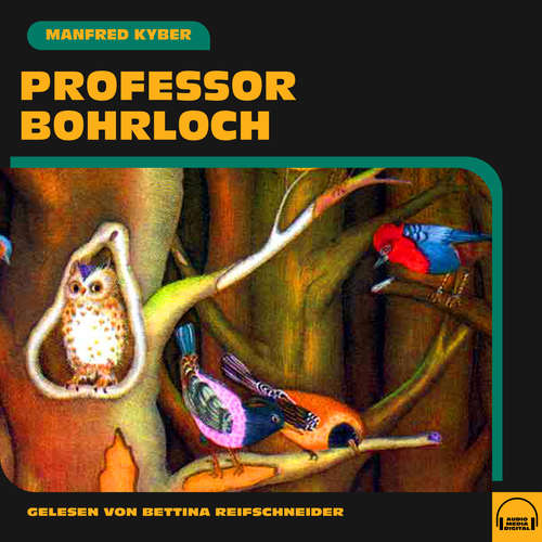 Hoerbuch Professor Bohrloch - Manfred Kyber - Bettina Reifschneider