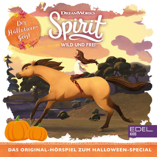 Hoerbuch Halloween - Special (Das Original-Hörspiel zum Special) - Thomas Karallus - Karlo Hackenberger