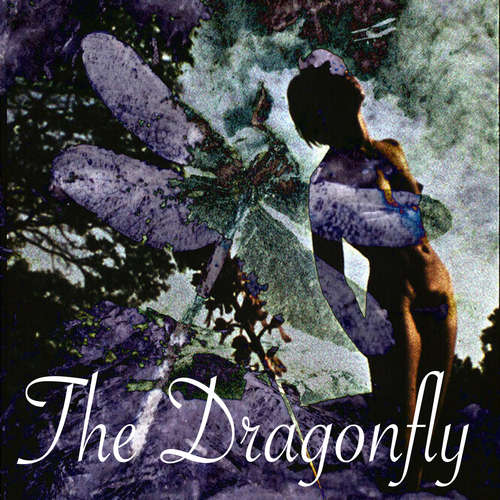 Audiobook The Dragonfly - Dominic Crawford Collins - Dominic Crawford Collins