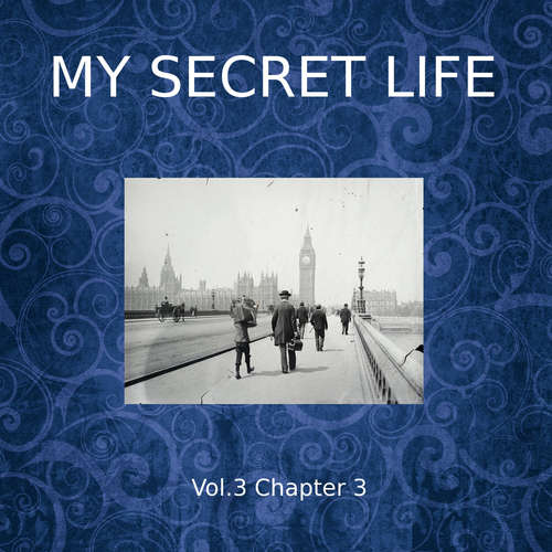 Audiobook My Secret Life, Vol. 3 Chapter 3 - Dominic Crawford Collins - Dominic Crawford Collins
