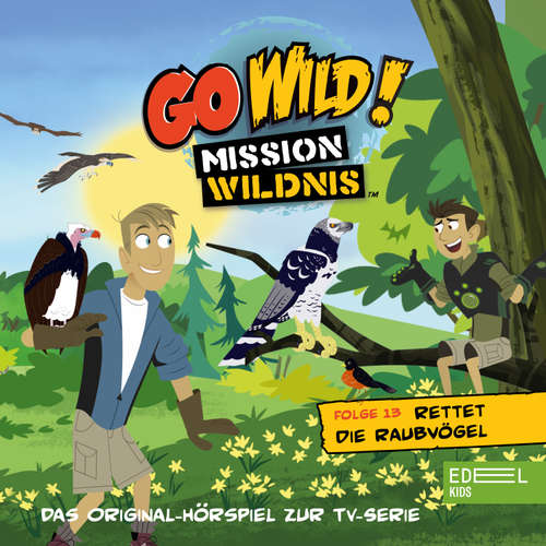 Hoerbuch Folge 13: Rettet die Raubvögel / Die Regenwald-Kobolde (Das Original Hörspiel zur TV-Serie) - Andreas Lueck - Simon Roden