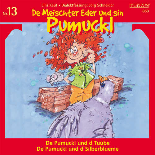Hoerbuch De Meischter Eder und sin Pumuckl, Nr. 13 - Ellis Kaut - Heiner Hitz