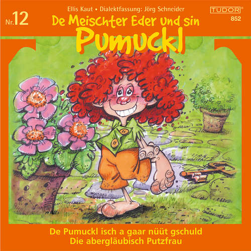 Hoerbuch De Meischter Eder und sin Pumuckl, Nr. 12 - Jörg Schneider - Vincento Biagi