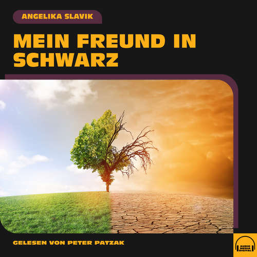 Hoerbuch Mein Freund in Schwarz - Angelika Slavik - Peter Patzak