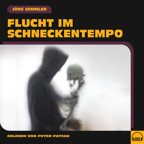 Hoerbuch Flucht im Schneckentempo - Jörg Zemmler - Peter Patzak