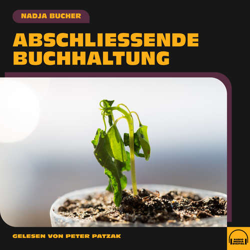 Hoerbuch Abschließende Buchhaltung - Nadja Bucher - Peter Patzak