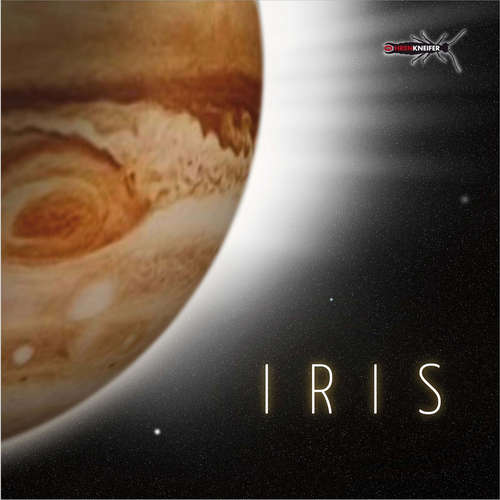 Hoerbuch Iris - Sven Hüsken - Alianne Diehl