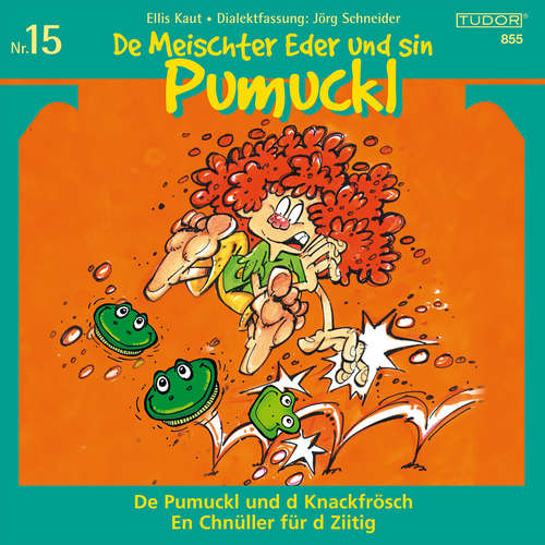 Hoerbuch De Meischter Eder und sin Pumuckl, Nr. 15 - Jörg Schneider - Ines Torelli