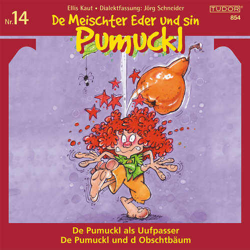 Hoerbuch De Meischter Eder und sin Pumuckl, Nr. 14 - Jörg Schneider - Paul Bühlmann