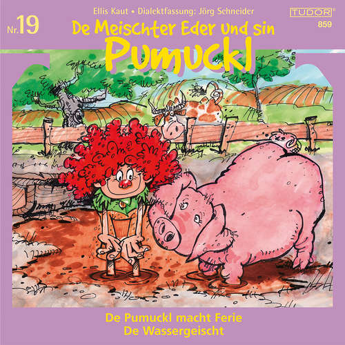 Hoerbuch De Meischter Eder und sin Pumuckl, Nr. 19 - Jörg Schneider - Heiner Hitz