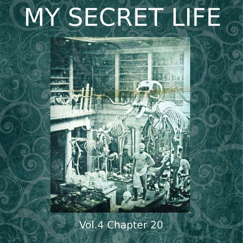 Audiobook My Secret Life, Vol. 4 Chapter 20 - Dominic Crawford Collins - Dominic Crawford Collins