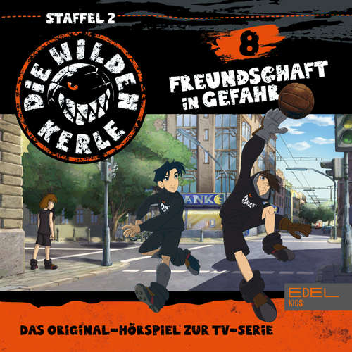 Hoerbuch Folge 8 (Das Original-Hörspiel zur TV-Serie) - Thomas Karallus - Christian Stark