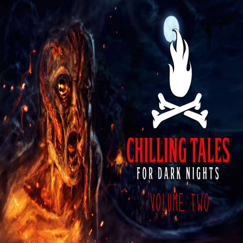 Audiobook Chilling Tales for Dark Nights, Vol. 2 - Chilling Tales for Dark Nights - Tom Merritt