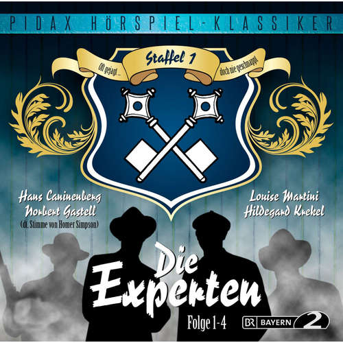 Hoerbuch Die Experten - Staffel 1 (Folge 1-4) - Alexandra Becker - Louise Martini