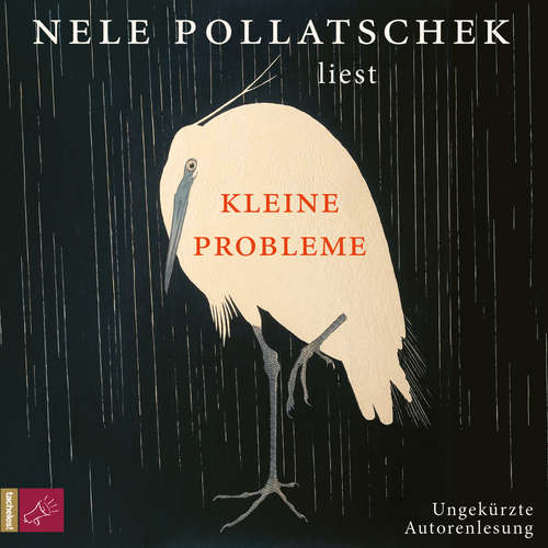 Hoerbuch Kleine Probleme - Nele Pollatschek - Nele Pollatschek