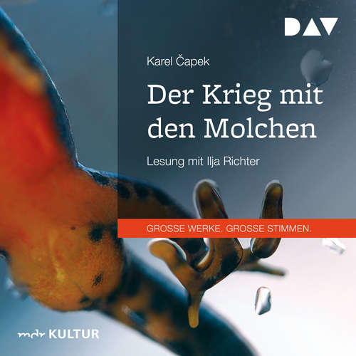 Hoerbuch Der Krieg mit den Molchen - Karel Čapek - Ilja Richter