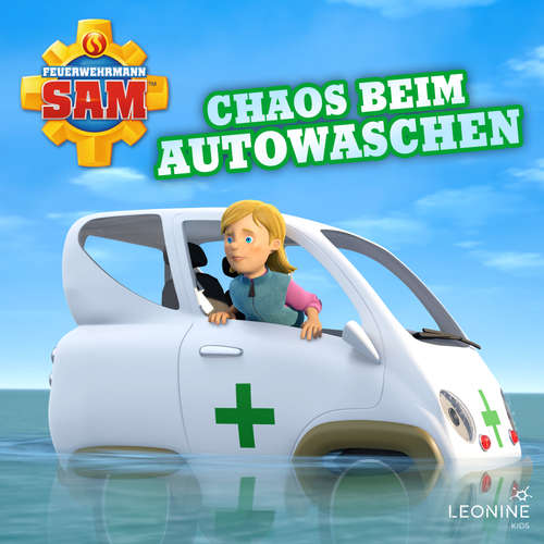 Hoerbuch Folge 157: Chaos beim Autowaschen - Stefan Eckel - Willi Röbke
