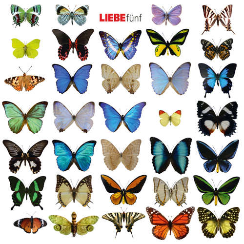 Hoerbuch Liebe fünf - Hagen Rether - Hagen Rether Hoerbuch Liebe fünf - Hagen Rether - Hagen Rether