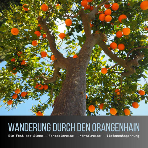Hoerbuch Wanderung durch den Orangenhain: Ein Fest der Sinne - Fantasiereise - Mentalreise - Geführte Tiefenentspannung - Gedankenreise - Patrick Lynen - Stephan Müller