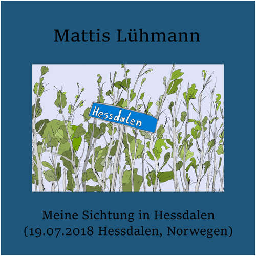 Hoerbuch Meine Sichtung in Hessdalen (19.07.2018 Hessdalen, Norwegen) - Mattis Lühmann - Mattis Lühmann