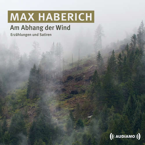 Hoerbuch Am Abhang der Wind - Max Haberich - Max Haberich