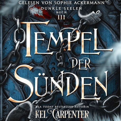 Hoerbuch Dunkle Seelen 3 - Dark Fantasy Hörbuch - Kel Carpenter - Sophie Ackermann
