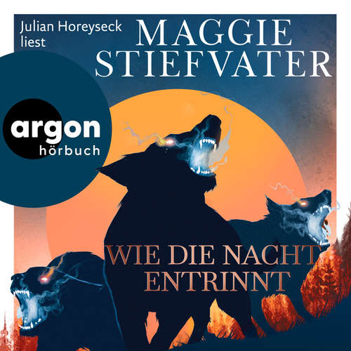 Hoerbuch Wie die Nacht entrinnt - Dreamer-Trilogie, Band 3 - Maggie Stiefvater - Julian Horeyseck