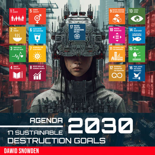 Audiobook Agenda 2030 - Dawid Snowden - Dawid Snowden