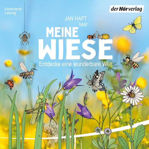 Hoerbuch Meine Wiese. - Entdecke eine wunderbare Welt - Jan Haft - Jan Haft