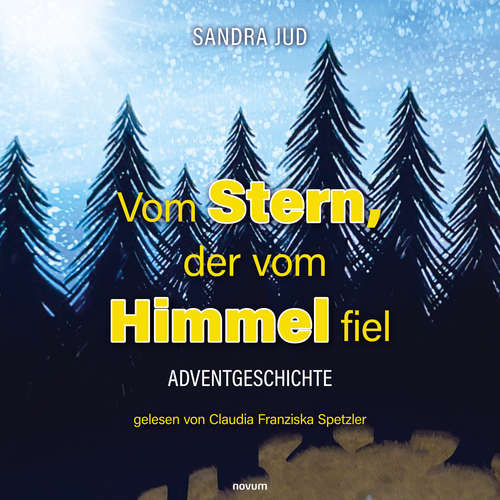 Hoerbuch Vom Stern, der vom Himmel fiel - Hörbuch - Sandra Jud - Franziska Spetzler