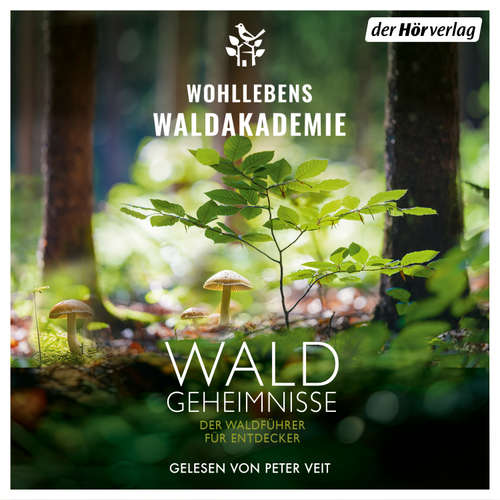 Hoerbuch Waldgeheimnisse - Wohllebens Waldakademie - Peter Veit