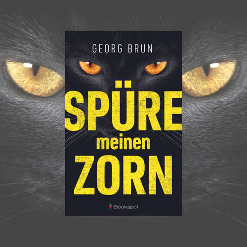 Hoerbuch Spüre meinen Zorn - Georg Brun - Johanna Anke