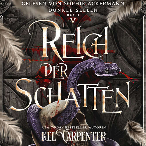 Hoerbuch Dunkle Seelen 5 - Dark Fantasy Hörbuch - Kel Carpenter - Sophie Ackermann