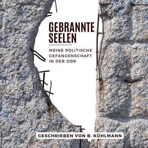 Hoerbuch Gebrannte Seelen - Bernd Kühlmann - Theo Tale