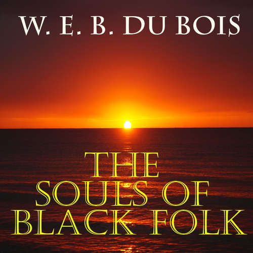 Audiobook The Souls of Black Folk - W. E. B. Du Bois - Mark Bowen