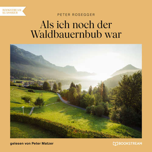 Hoerbuch Als ich noch der Waldbauernbub war - Peter Rosegger - Peter Matzer