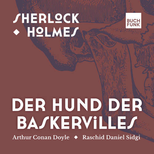 Hoerbuch Der Hund von Baskerville - Sherlock Holmes - Die Romane, Band 3 - Arthur Conan Doyle - Raschid D. Sidgi