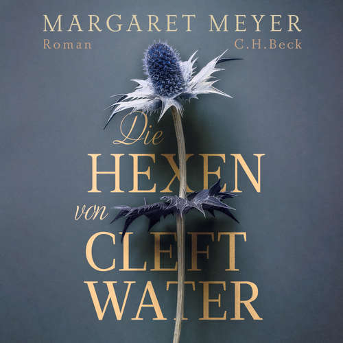 Hoerbuch Die Hexen von Cleftwater - Margaret Meyer - Christina Besser