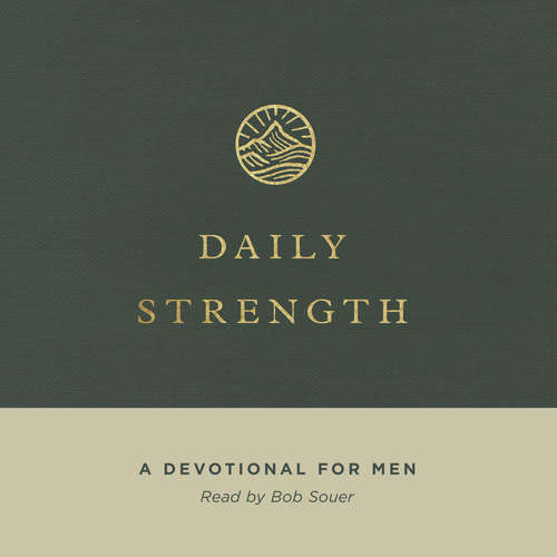 Audiobook Daily Strength -  - Bob Souer
