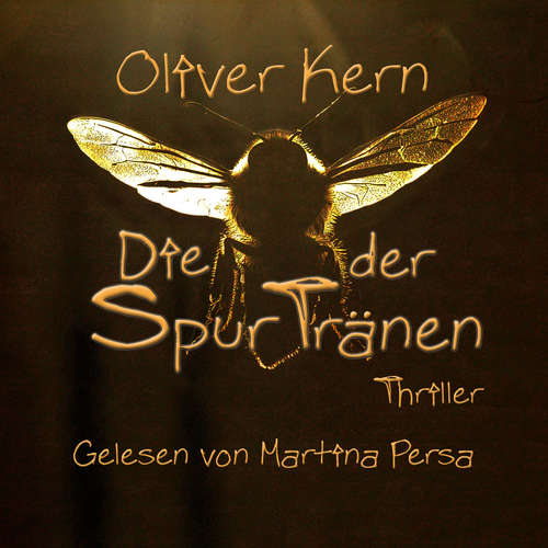 Hoerbuch Die Spur der Tränen - Oliver Kern - Martina Persa