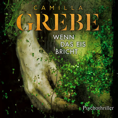 Hoerbuch Wenn das Eis bricht - Die Profilerin, Band 1 - Camilla Grebe - Amina Gaede
