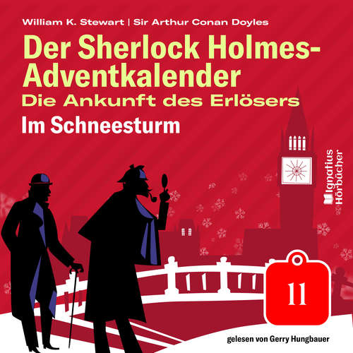 Hoerbuch Im Schneesturm (Der Sherlock Holmes-Adventkalender: Die Ankunft des Erlösers, Folge 11) - Sir Arthur Conan Doyle - Gerry Hungbauer