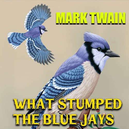 Audiobook What Stumped the Blue Jays - Mark Twain - Mark Bowen