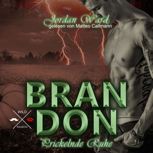 Hoerbuch Brandon - Secret Desire - Prickelnde Ruhe, Band 3 - Jordan Ward - Matteo Callmann