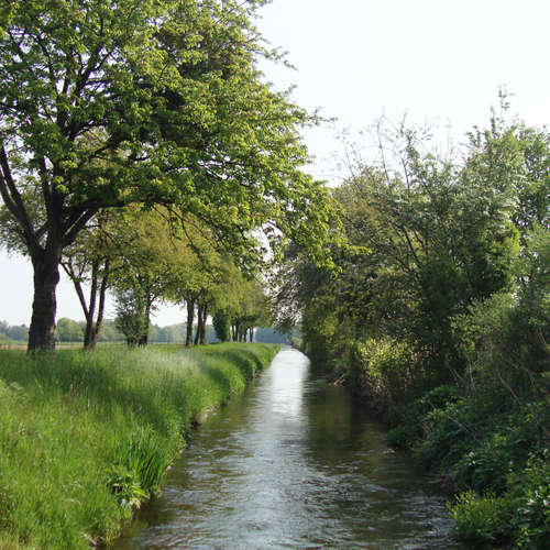 Spaziergang im Naturschutzgebiet Mühlenstrang in Schwerte