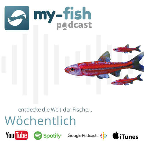 my-fish (Aus Freude an der Aquaristik Podcast)