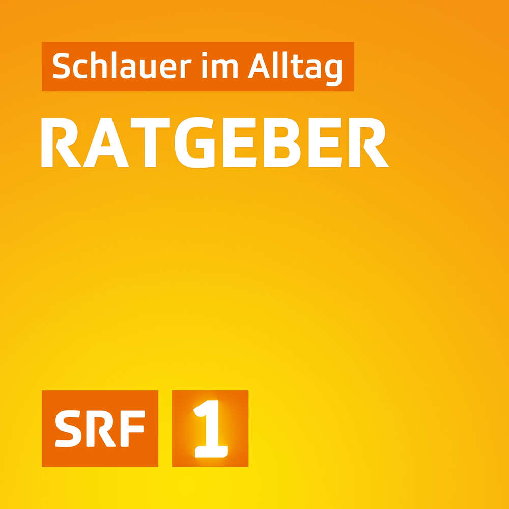 Die Mondviole mit ihren Silberblättern