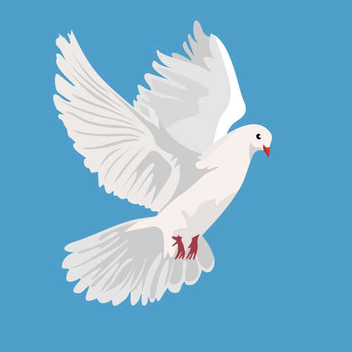 hr2 Camino - Religionen auf dem Weg