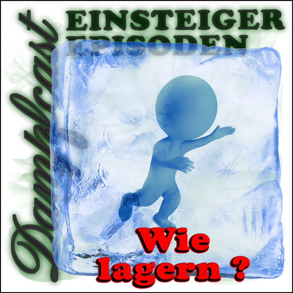 DCE11 - Wie lagern?